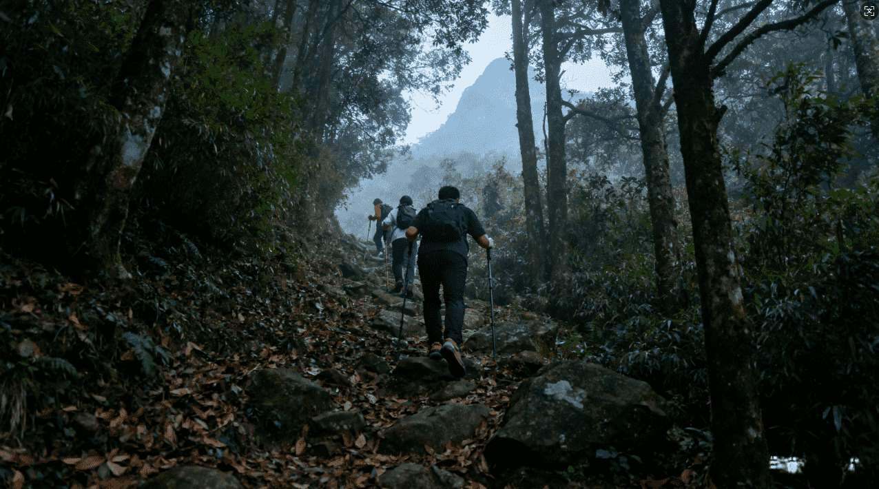 西柚加速器可登录，无缝连接高速网络教程